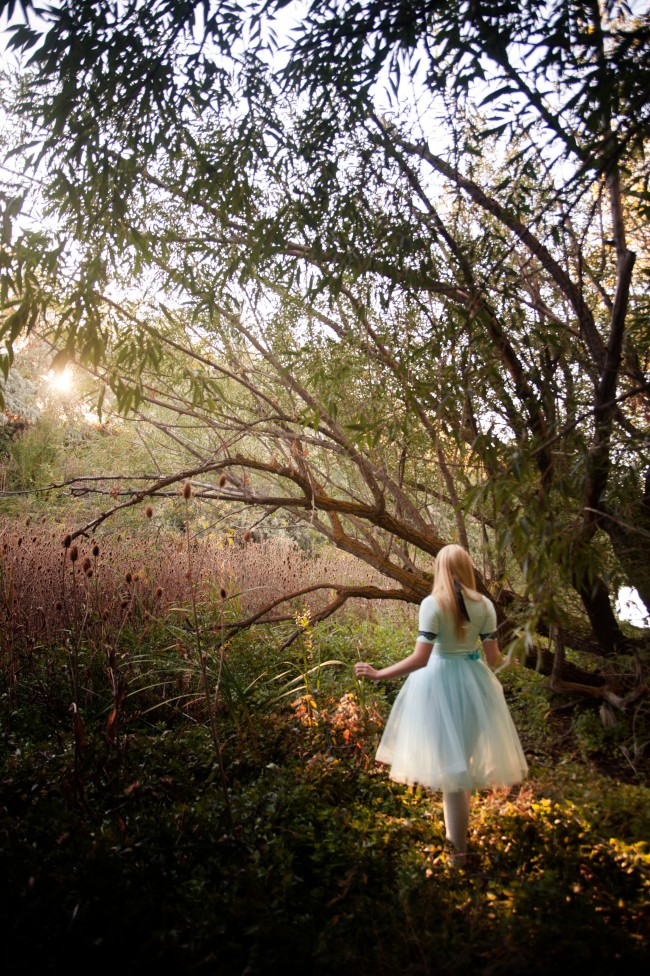 Alice in Wonderland, fairy tale, sun, flare, light, alice, lewis carroll, diy, tulle, pretty, lovely, beauitful